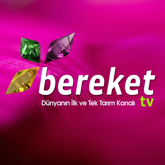 Bereket TV